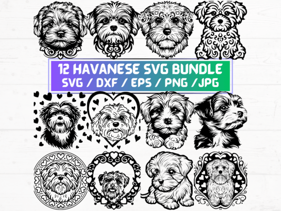 12 Havanese SVG Files: A Versatile Digital Asset for Designers and Creators