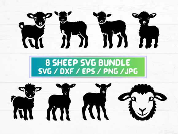 8 Sheep SVG Bundle