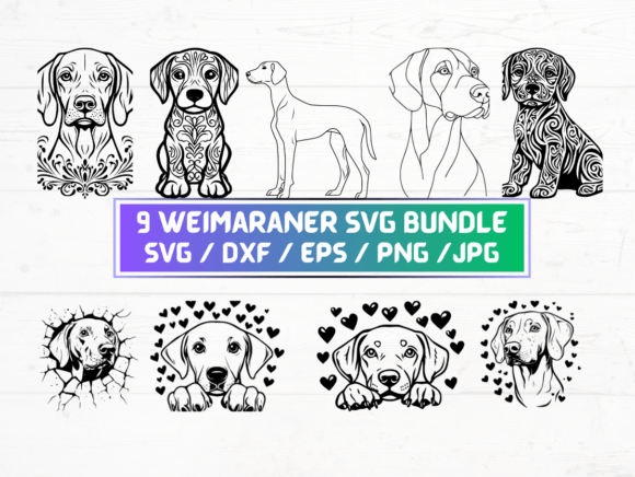 9 Weimaraner Svg Bundle