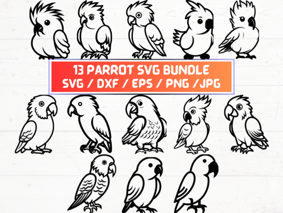 Exploring the Versatility of Parrot SVG for Designers and Creators