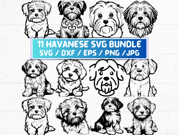 Havanese Dog Svg Bundle for Creative Projects
