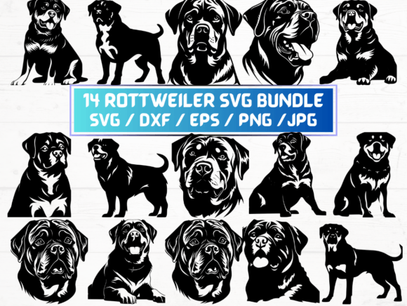 Rottweiler Svg File for Creative Projects
